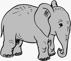 elephant clipart 6 664x564 | African Safari | Elephant pattern ...