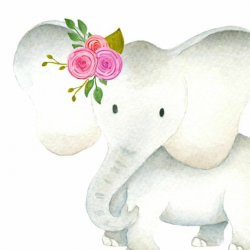 Cute elephant clipart, Baby & mama elephants clipart set, Elephant ...