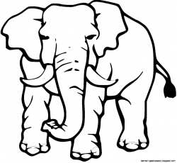 Best Cute Elephant Clipart Black and White #28172 - Clipartion.com