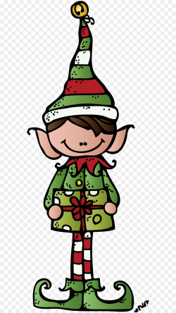 Plant, Tree, Christmas, transparent png image & clipart free download