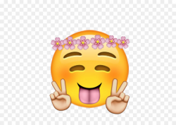 Iphone Flower Emoji