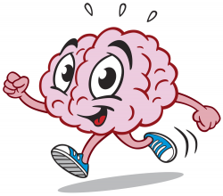 Exercise Weekly Can Improve Your Brain Memory Functions ...
