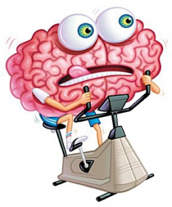 Free Brain Exercise Cliparts, Download Free Clip Art, Free ...
