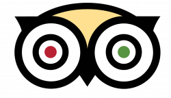 Does Expedia Have TripAdvisor Spinoff Remorse? – Skift
