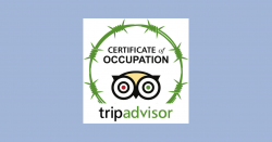 New Amnesty report examines how Airbnb, Booking.com, Expedia ...