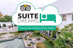 Can TripAdvisor Blame Its Hotel-Bidding Slump on Expedia or ...