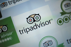 Google Sends Travel Website Stocks on Bad Trip - WSJ