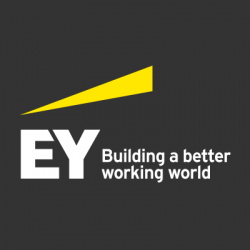 Diversity & inclusiveness - Exceptional EY - United States