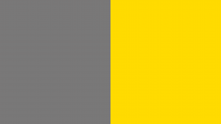 Ernst & Young Logo Color Scheme » Gray » SchemeColor.com