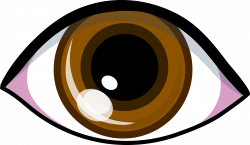 Best Brown Eyes Clipart #18275 - Clipartion.com