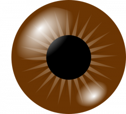 Brown Eye Clip Art at Clker.com - vector clip art online, royalty ...