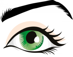 Free Eye Color Cliparts, Download Free Clip Art, Free Clip Art on ...