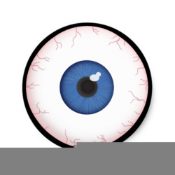 Halloween Eyeball Clipart | Free Images at Clker.com - vector clip ...