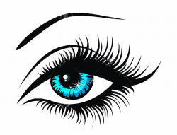 Human Eye Eyes Clipart , Png Download - Cartoon Eye With Eyelashes ...