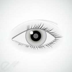 Free Human Eye Clipart and Vector Graphics - Clipart.me