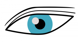 Eye, Circle, transparent png image & clipart free download