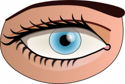 Eye Clip Art For Kids | Clipart Panda - Free Clipart Images
