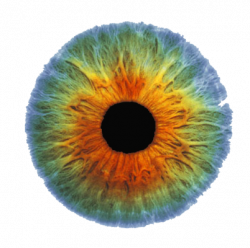 Real Eye PNG Image | PNG Mart