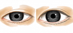 Download Real Eye Clipart HQ PNG Image | FreePNGImg