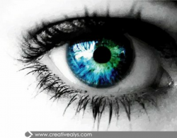 Free Realistic Eye with Blue Eyeball Clipart and Vector Graphics ...