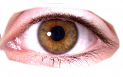 Eyes PNG images free download