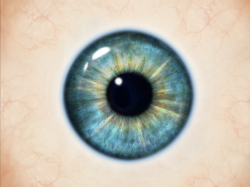 Realistic Human Eye Texture Free (Misc) | Textures for Photoshop