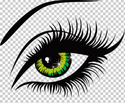 Eyelash Drawing PNG, Clipart, Artwork, Eye, Eye Color, Human ...