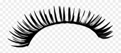 Eyelash Clipart Transparent Pencil And In Color Eyelash ...