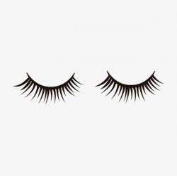 False Eyelashes Material PNG, Clipart, Eyelash, Eyelashes ...