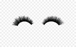 Free Eyelashes Png Transparent, Download Free Clip Art, Free ...