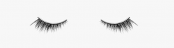 Eyelash Png, Download Png Image With Transparent Background ...
