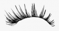 Image Freeuse Eyelash Clipart Tumblr Transparent ...