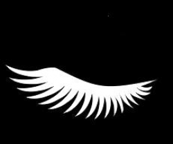 7 Eyelash Clipart black and white Free Clip Art stock ...