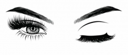 Eyelash clipart eye blink, Eyelash eye blink Transparent ...