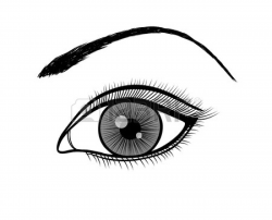 Beautiful black eyes clipart - Clip Art Library