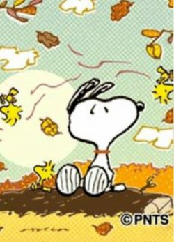 131 Best Peanuts Gang Fall/Thanksgiving images in 2016 | Peanuts ...