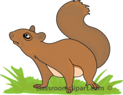 Tubes cureuils fall clip art squirrel - ClipartAndScrap