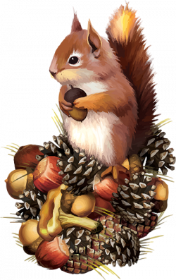 tubes écureuils | Fall | Fall clip art, Squirrel art, Squirrel clipart