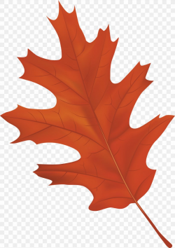 Autumn Leaf Color Clip Art, PNG, 3735x5295px, Autumn Leaf ...