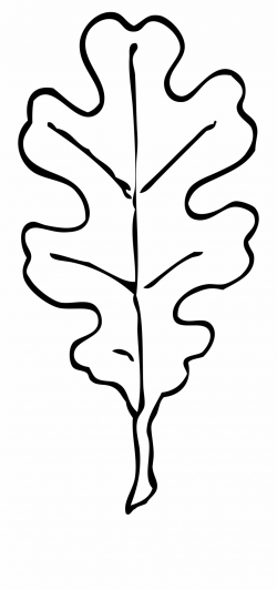 Fall Leaves Clipart Black And White Border - Oak Leaf ...