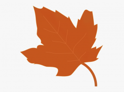 Maple Leaf Clipart Brown Maple - Transparent Background Fall ...