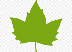 Leaf Green Clip Art, PNG, 600x598px, Leaf, Autumn, Autumn ...