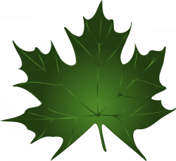 Free Pictures Leaf, Download Free Clip Art, Free Clip Art on ...