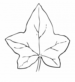 Leaves Black And White Fall Leaves Clipart Black And - Leaf ...