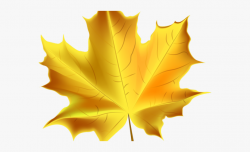 Autumn Leaves Clipart - Clipart Transparent Background Fall ...