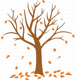 Tis the Season | Autumn leaves, Fall coloring pages, Autumn ...