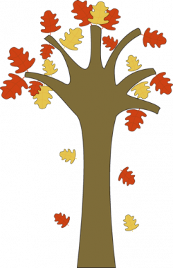 Fall leaves photos of tree leaves clip art tree with leaves ...