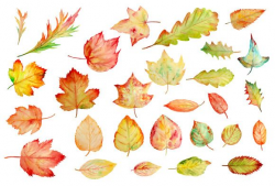 Watercolor Autumn Leaves Clipart by Corner Croft on Creative ...