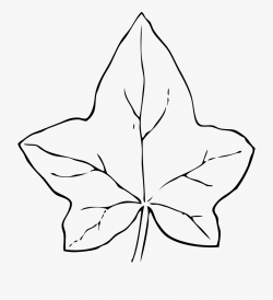 Leaf Black And White Fall Leaves Clipart Black And - Leaf ...