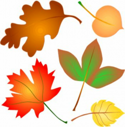 free pilgrim clipart images | Autumn leaves clip art - free ...